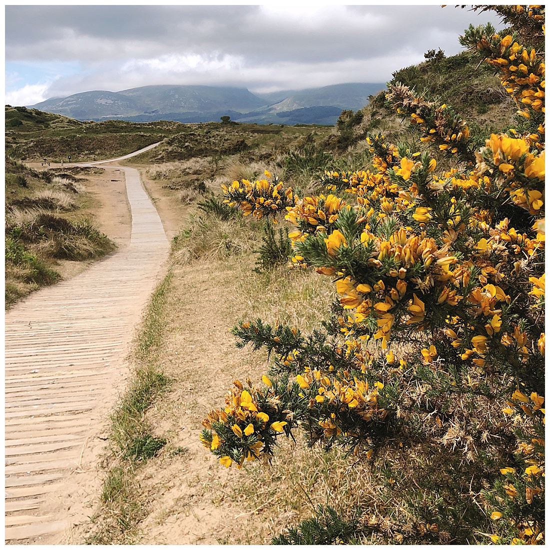 Sunday morning stroll at Murlough Nature Reserve