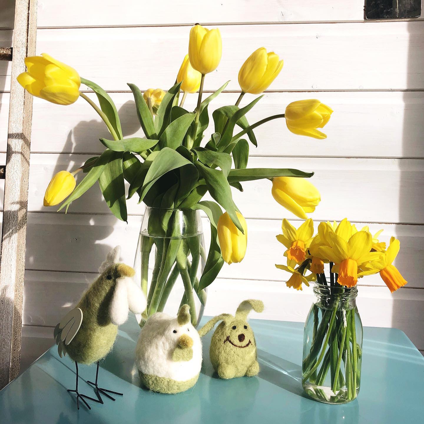 Sunshine and shadows, petals and props. What brought you joy today?