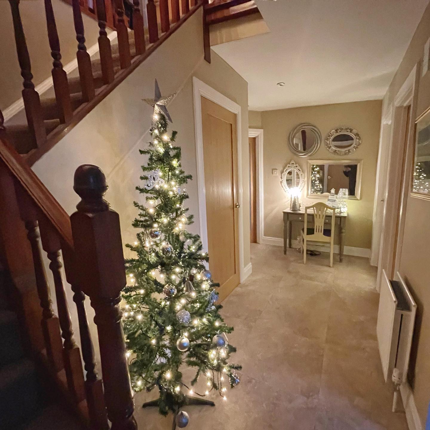 On the 4th of December….. our silvery tree in the hall